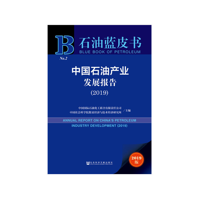 ʯ{ƤЇʯͮa(chn)I(y)l(f)չ棨2019
