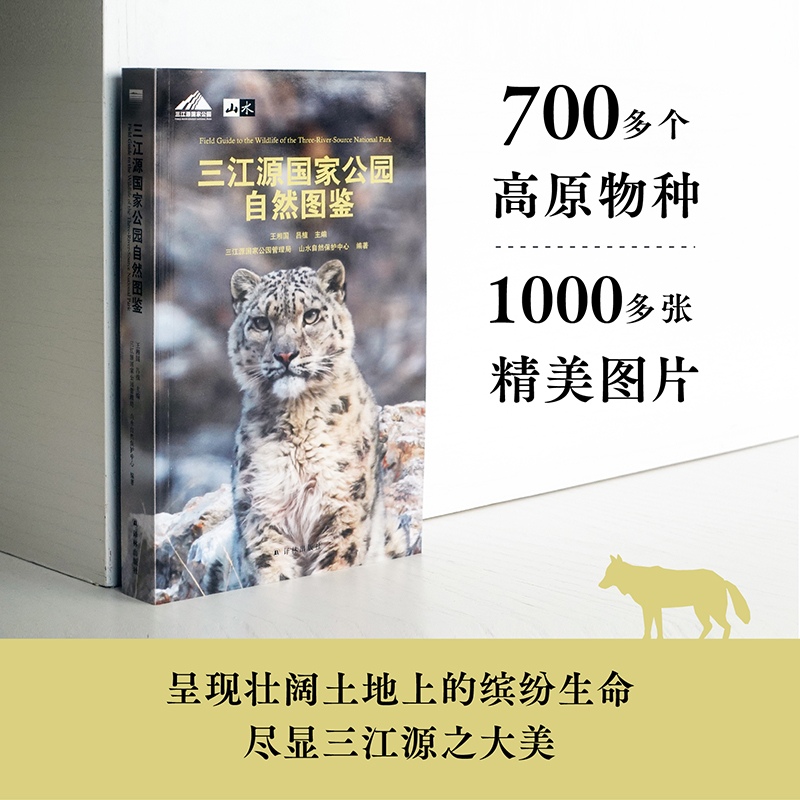 Դҹ@ȻDb 700ԭN1000DƬʬF(xin)ϵ_H