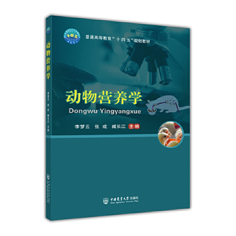 (dng)IB(yng)W(xu)