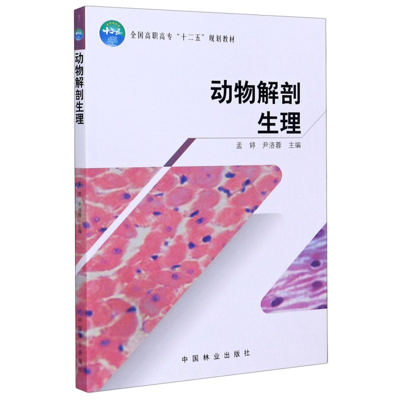 ߌʮ壩