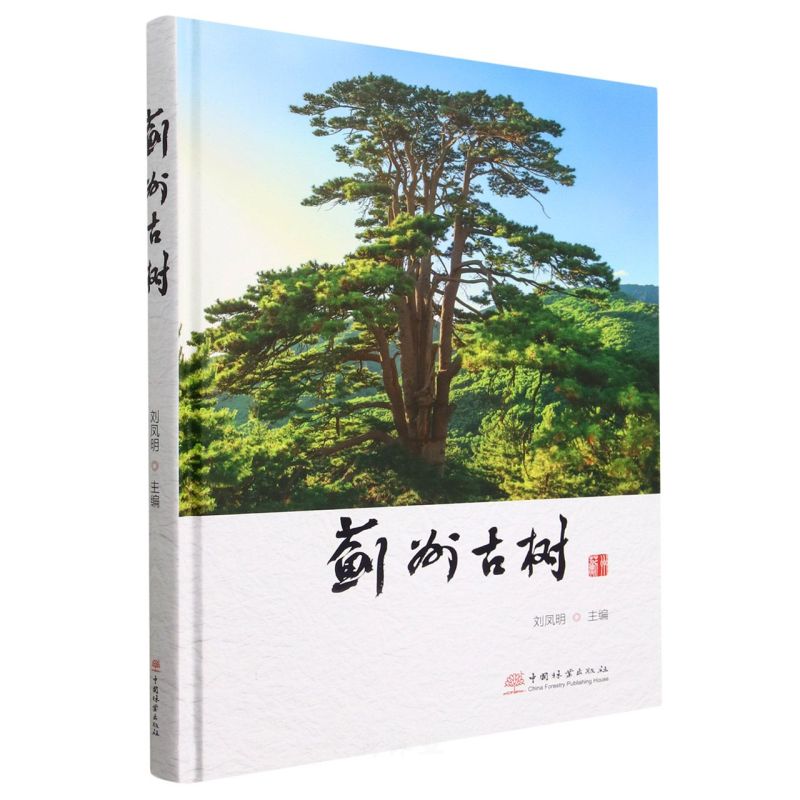 EݹŘ()
