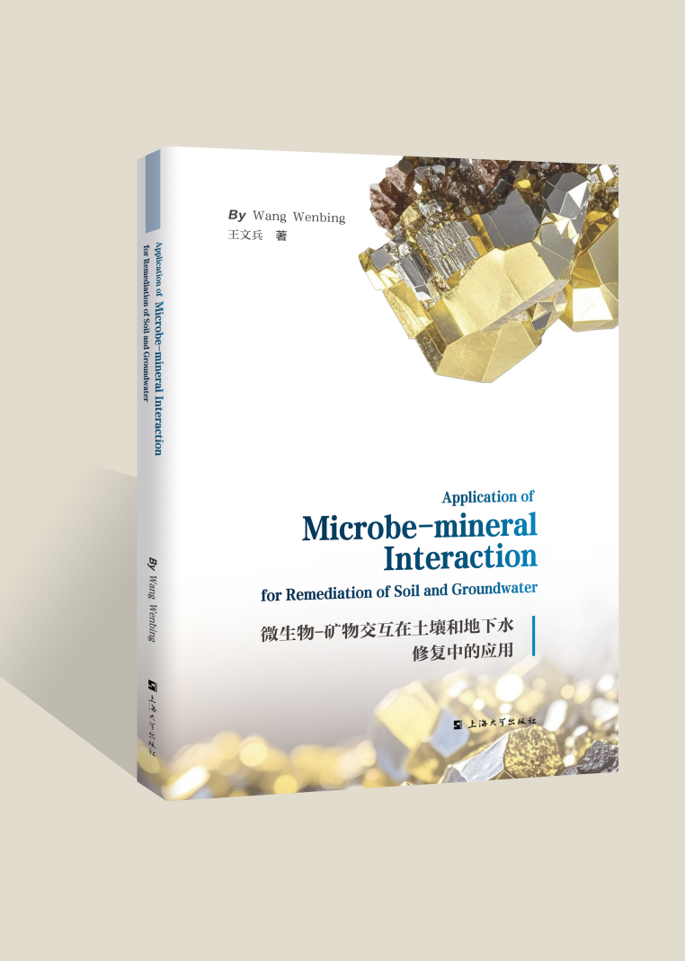 ΢-Vｻ͵ˮޏеđãApplication of Microbe-mineral Interaction for Remediation of Soil and Groundwater