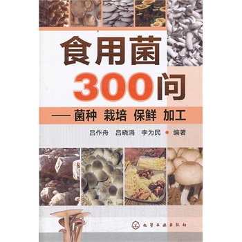 ʳþ300--Nࡢr ӹ