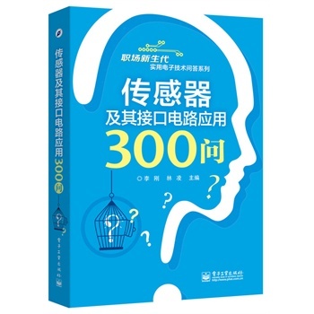 ӿ·300